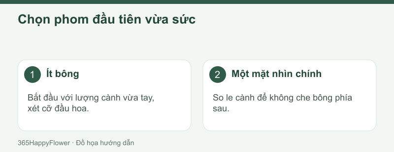 Bó nhỏ giúp người mới dễ kiểm soát mặt hoa và điểm cầm.