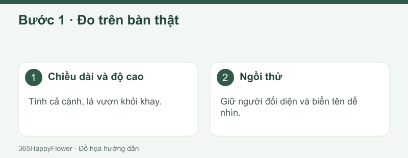 Tính khoảng cho người ngồi và các vật dụng trước khi chốt khối hoa.