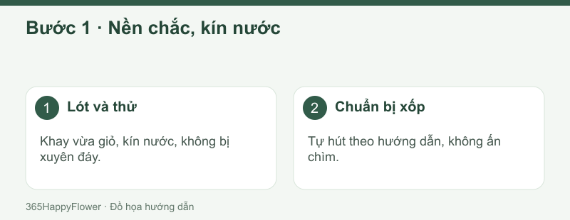 Kiểm tra khay trước khi cố định xốp đã hút nước đúng cách.
