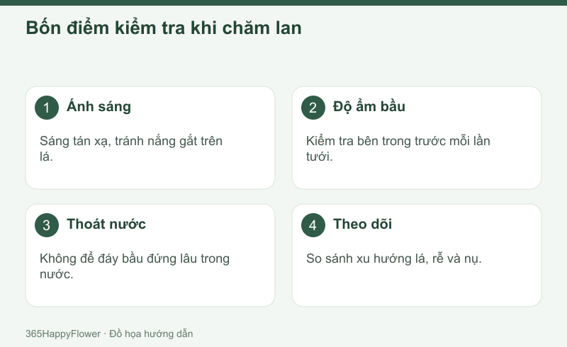 Quan sát ánh sáng, giá thể, thoát nước và tăng trưởng của cây.
