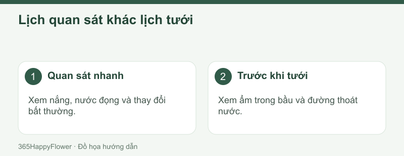 Kiểm tra thường xuyên nhưng chỉ thao tác khi cây thực sự cần.