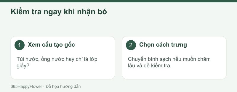 Bao gói kín chưa đủ để kết luận hoa đang được cấp nước.