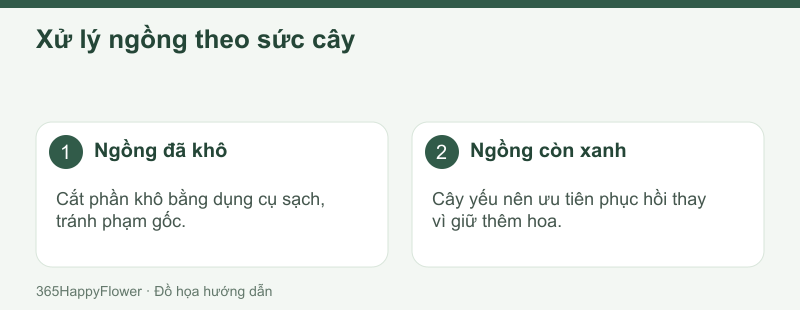 Sức cây quyết định việc giữ hay cắt ngồng hoa xanh.