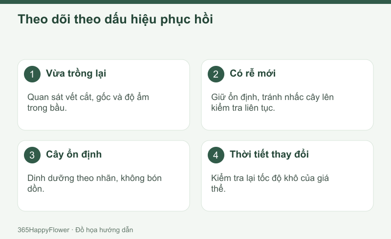 Điều chỉnh chăm sóc theo tình trạng cây thay vì lịch cứng.