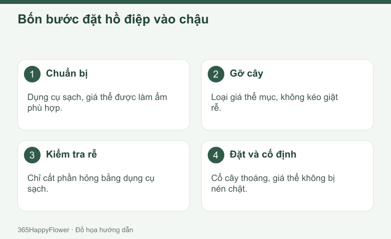 Trồng lại nhẹ tay để hạn chế làm tổn thương rễ khỏe.
