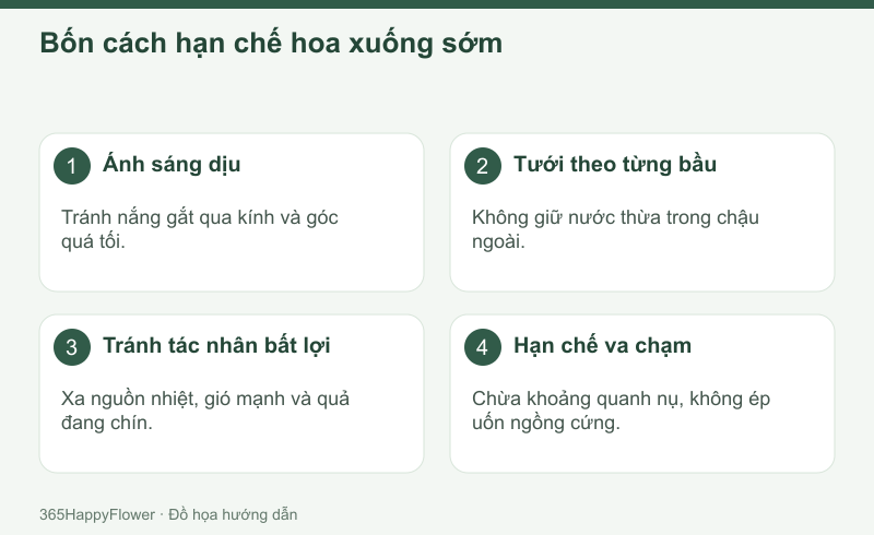 Giữ môi trường và bầu ổn định giúp giảm tác nhân bất lợi.