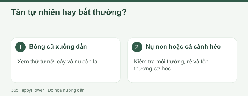 Phạm vi và tốc độ xuống hoa cần được xem cùng nhau.