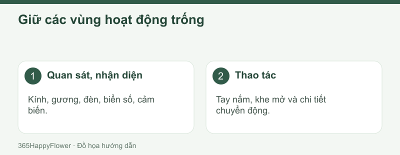Kiểm tra cả phần lá và ruy băng vươn khỏi cụm chính.