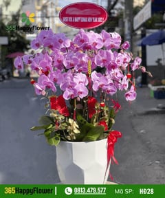 Top 10 Loại Hoa Được Yêu Thích Nhất Khi Tặng Sinh Nhật