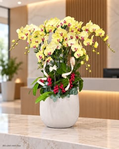Chậu lan hồ điệp vàng chanh 9 cành tặng sinh nhật LHĐ54 đặt ở văn phòng (ảnh minh hoạ)