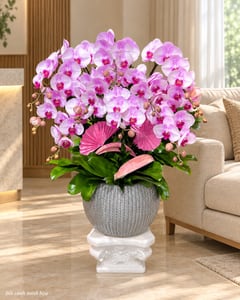 Chậu lan hồ điệp tím hồng cỡ lớn đế cột La Mã LHĐ26 đặt trong phòng khách (ảnh minh hoạ)