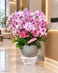 Chậu lan hồ điệp tím hồng cỡ lớn đế cột La Mã LHĐ26 đặt ở văn phòng (ảnh minh hoạ)