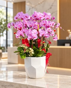 Chậu lan hồ điệp hồng tím chậu sứ đa giác chưng Tết LHĐ32 đặt ở văn phòng (ảnh minh hoạ)