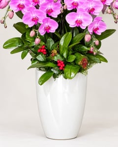 Chậu lan hồ điệp hồng tím cỡ lớn tặng khai trương LHĐ15 – cận cảnh chậu và phần trang trí
