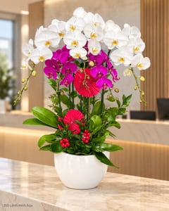 Chậu lan hồ điệp trắng tím 2 tầng mừng kỷ niệm LHĐ17 đặt ở văn phòng (ảnh minh hoạ)