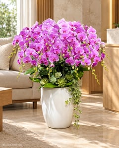 Chậu lan hồ điệp tím cà phối thường xuân cỡ lớn LHĐ16 đặt trong phòng khách (ảnh minh hoạ)