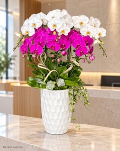 Chậu lan hồ điệp trắng tím 2 tầng chậu sứ cao LHĐ08 đặt ở văn phòng (ảnh minh hoạ)
