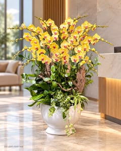 Chậu lan hồ điệp vàng tặng sinh nhật sếp LHĐ04 đặt ở văn phòng (ảnh minh hoạ)