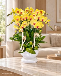 Chậu lan hồ điệp vàng 6 cành tặng khai trương LHĐ02 đặt trong phòng khách (ảnh minh hoạ)