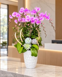 Chậu lan hồ điệp tím hồng 10 cành mừng tân gia LHĐ24 đặt ở văn phòng (ảnh minh hoạ)