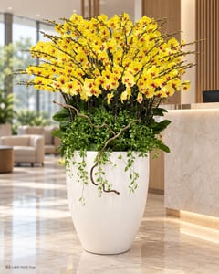 Chậu lan hồ điệp vàng cỡ đại trang trí sảnh phòng khách LHĐ29 đặt ở văn phòng (ảnh minh hoạ)