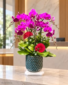 Chậu lan hồ điệp tím 6 cành chậu men xanh đen LHĐ03 đặt ở văn phòng (ảnh minh hoạ)
