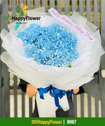 Bó hoa baby nhuộm xanh dương gói giấy trắng nơ xanh BH67