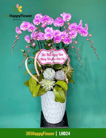 Chậu lan hồ điệp tím hồng 10 cành mừng tân gia LHĐ24