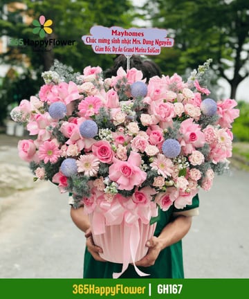 Hộp hoa hồng phấn đồng tiền hồng điểm hoa cầu gai GH167