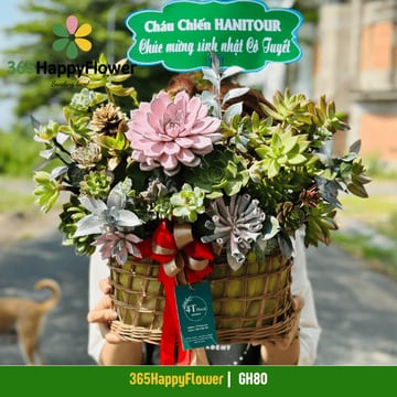 Giỏ sen đá mix quả thông khô giỏ mây đan thưa GH80