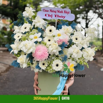 Hộp hoa đồng tiền trắng hồng trắng điểm cúc gai xanh GH116