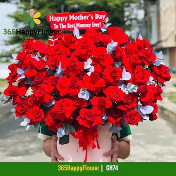 Hộp hoa hồng đỏ phối bạch đàn bạc tặng mẹ GH74