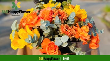 Hoa hội nghị hồng cam đồng tiền sợi dáng tròn ĐH09