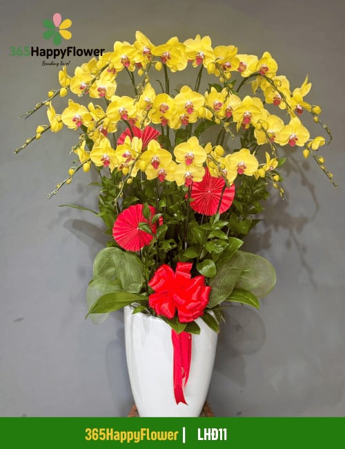 Chậu Lan Hồ Điệp Cao Cấp