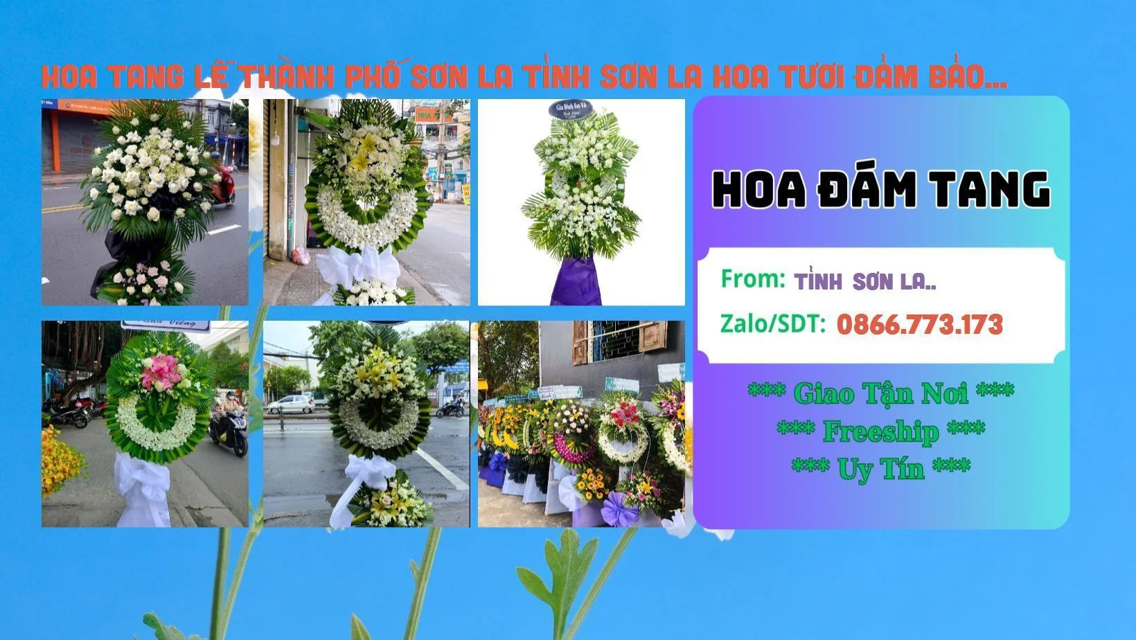 Đặt Giao Hoa Tận Nơi - Shop Hoa Đám Tang Thành Phố Sơn La Uy Tín Nhanh Chóng Hoa Tang Lễ Thành Phố Sơn La Tỉnh Sơn La Hoa Tươi đảm Bảo