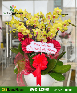 Hoa Lan Hồ Điệp