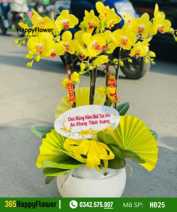 Hoa Lan Hồ Điệp - HĐ01