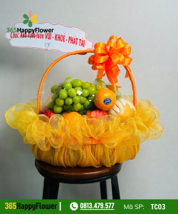 Giỏ Trái Cây – TC03