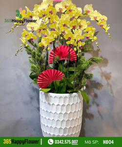 Hoa Lan Hồ Điệp