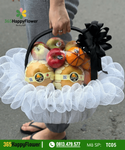 Giỏ Trái Cây – TC05