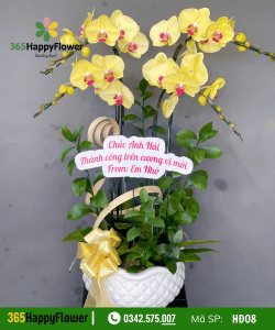 Hoa Lan Hồ Điệp