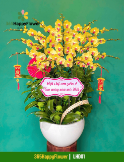 Chậu Lan Hồ Điệp Thịnh Vượng