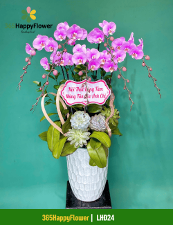 Chậu Lan Hồ Điệp Tím Sang Trọng