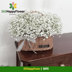 Giỏ Hoa Baby Trắng