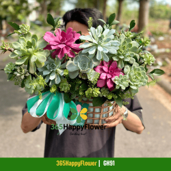Giỏ Hoa Sen Đá Mix Màu