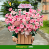 Giỏ Hoa Sinh Nhật Tone Hồng