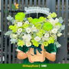 Giỏ Hoa Sinh Nhật Tone Xanh Lá