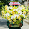 Giỏ Hoa Tặng Gia Đình