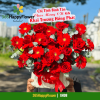 Giỏ Hoa Tươi Hoa Hồng Đẹp