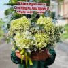 Giỏ Hoa Cẩm Tú Cầu